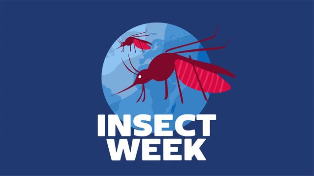 national insect week for insect conservation
