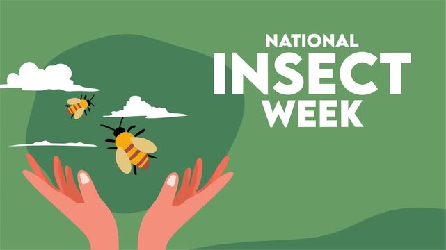 national insect week for insect conservation