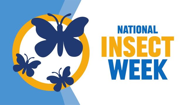 national insect week for insect conservation
