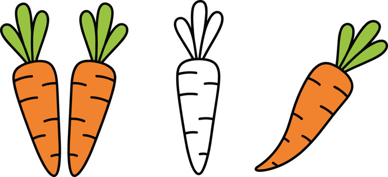 Carrot vegetable icon set with colored outline and hand drawn styles isolated on white background vector illustration