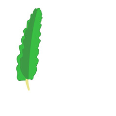 Dragon leaf vactor illustration image 