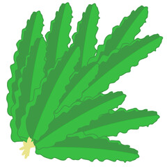 vector illustration of a dragon tree