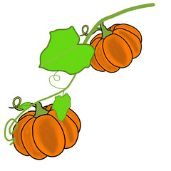 vector illustration of a Halloween 