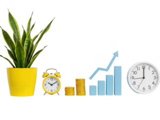 Snake plant, coins, alarm clock, and growth chart on transparent background