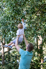 Father holding his young son up to reach a branch on a tall tree