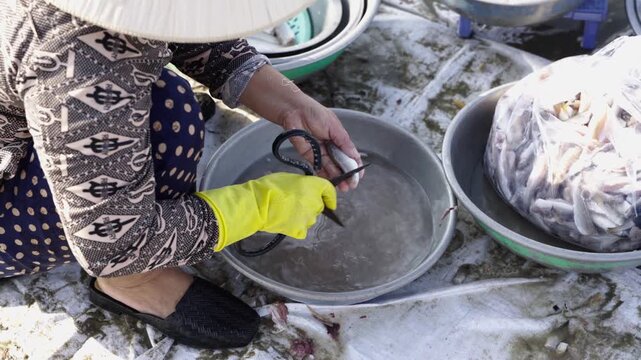 Woman cleaning fresh fish at traditional Vietnam seafood market
