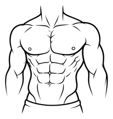 Fototapeta premium Hand drawn line art illustration of male torso depicting a strong athletic physique for fitness and health concepts