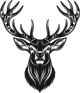 PMajestic stag deer head with large antlers silhouette, wild forest animal trophy and hunting club emblem vector illustration.