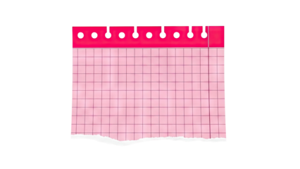Torn pink grid paper with binder holes