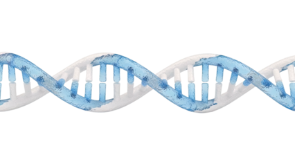 Blue Watery DNA Double Helix with White Backbone