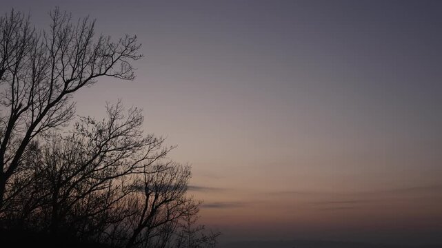 Predawn outdoor sky scene with a natural atmosphere