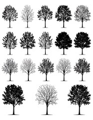 Fototapeta premium Assorted stylized tree silhouettes, rendered in black and white. Trees vary in foliage and season, creating diverse arboreal looks