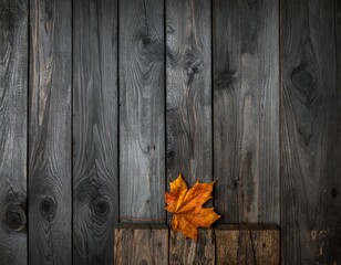 Autumnal image with an orange maple leaf resting on a wooden platform against a backdrop of dark, vertical planks