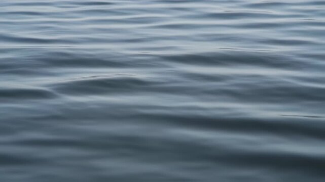 Serene ocean waves gently lap against the shore in a tranquil seascape video captured from a calm viewpoint