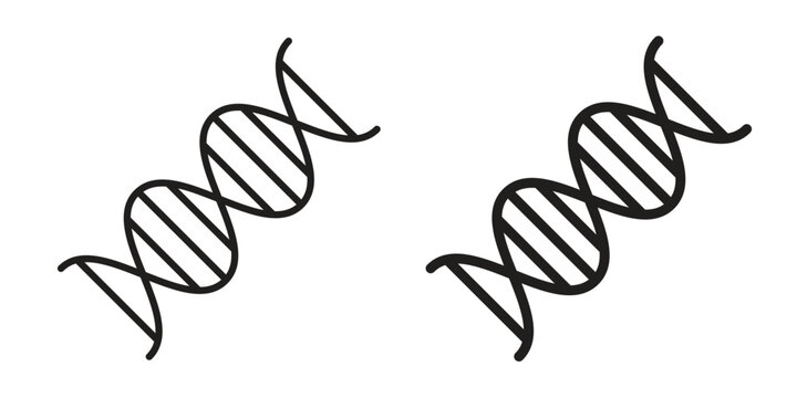 Genetic icons for web developers and designers,