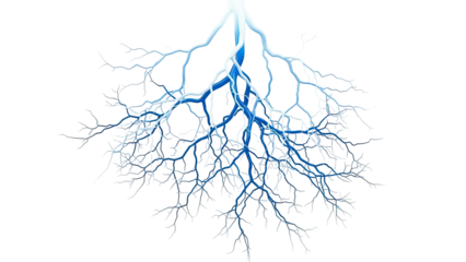 Abstract branching blue root system or network on white