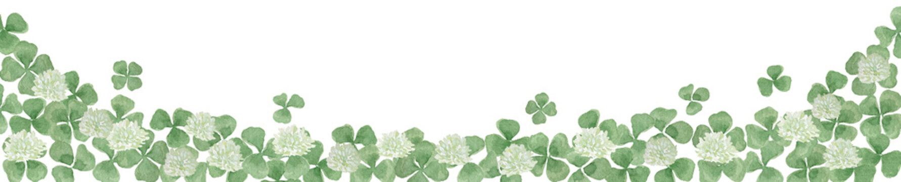 Watercolor white clover and shamrock border. Hand-painted spring floral footer.-300dpi-