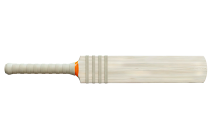 Cricket Bat