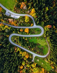 Bird's-eye aerial view of a winding road snaking through a vibrant forest, with trees displaying autumn colors and a curved layout