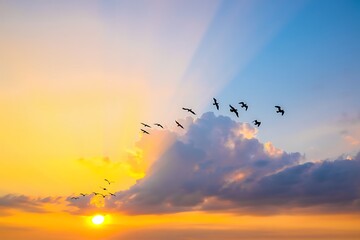 Obraz premium birds flying in formation against a vibrant sunset with clouds