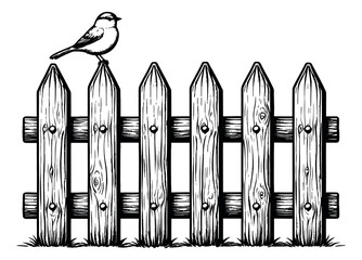 Hand drawn line art illustration of a bird perched on a wooden picket fence for a garden scene