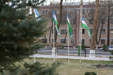 Uzbek flags in the city