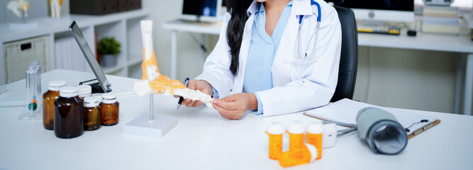 Woman Doctor at Desk with Spinal Model in Clinic for Healthcare Treatment Analysis and Patient Education Explaining Diagnosis