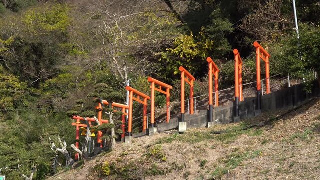 Red Torii Gates on the Mountain Trails
