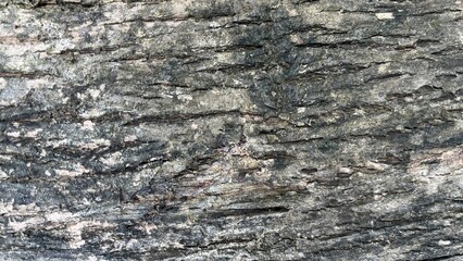 Close-up of a gray, textured, rough surface