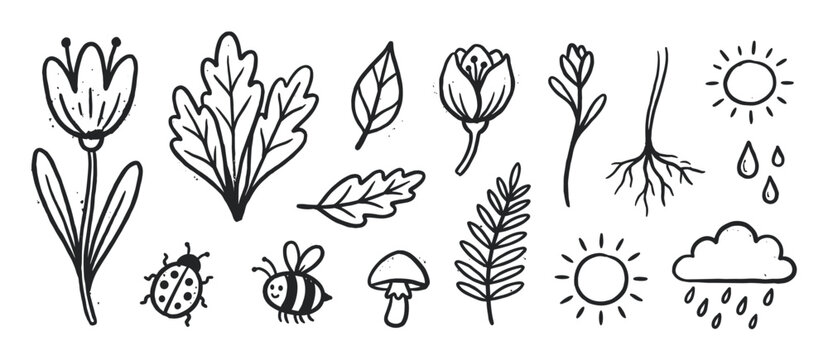 Collection of hand-drawn black nature doodles featuring flowers, leaves, insects, and weather icons in a charming sketch style with a slightly distressed, stamp-like texture