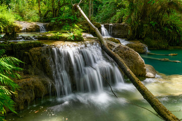 A fallen tree crosses layered limestone cascades with turquoise pools at Kuang Si Falls in northern Laos. Sunlight highlights lush tropical foliage and the textured rock formations in this vibrant © Florent