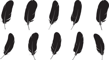 Set of isolated falling feathers vector illustration bundle collection