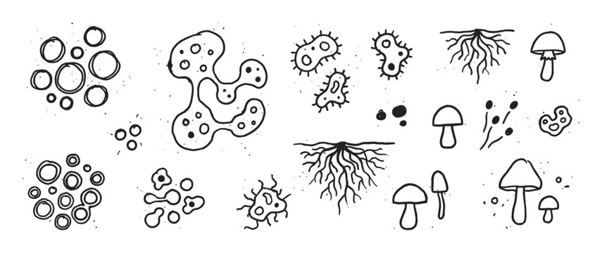 Set of hand-drawn biological illustrations featuring various microorganisms like bacteria, amoeba, cells, fungi, mushrooms, and mycelium roots in a simple black and white doodle style