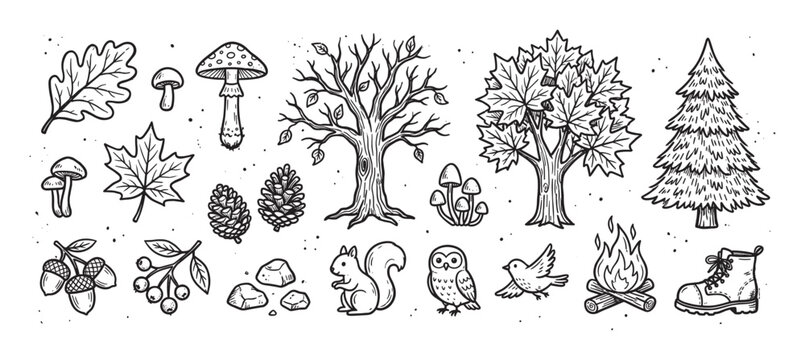 Hand-drawn black and white forest elements set with trees, mushrooms, leaves, animals, and camping icons in a charming vintage doodle style for nature-themed designs