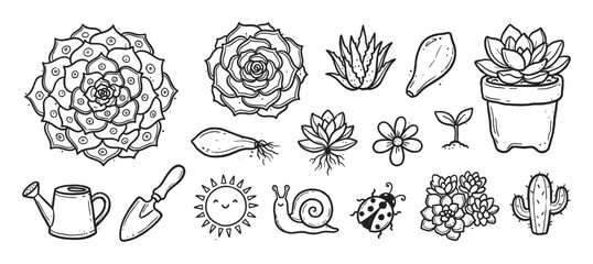 Fototapeta premium Collection of hand-drawn succulent and gardening doodle icons including a cactus, watering can, trowel, snail, and ladybug in a cute black and white line art illustration style