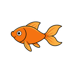 gold fish on white background