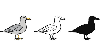 Three seagulls in different illustration styles on a white background