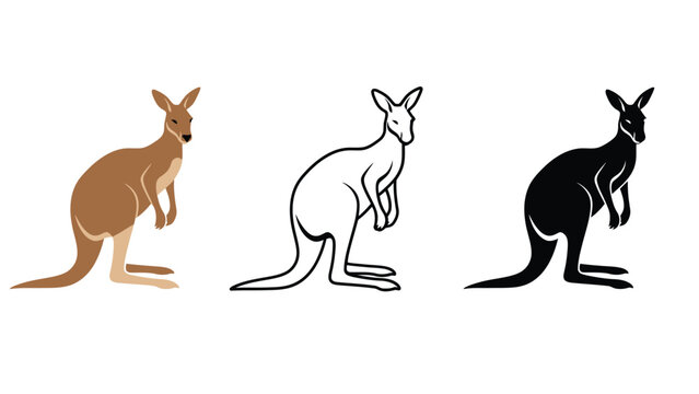 Three kangaroo illustrations in different colors on a white background
