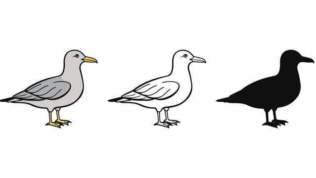 Three seagulls in different illustration styles on a white background