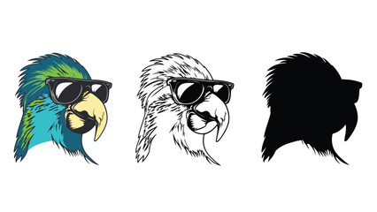 Three parrot heads wearing sunglasses in different colors and styles