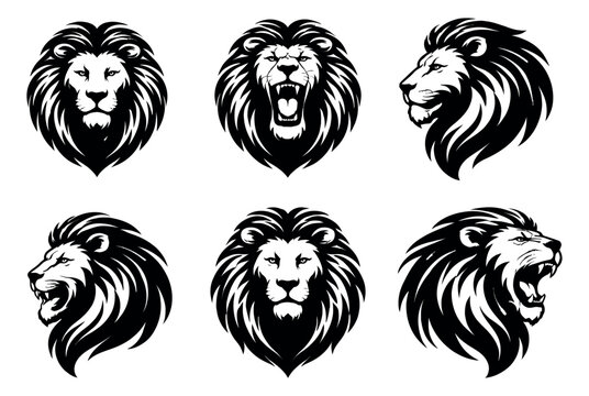 Stylized graphic lion head set featuring various expressions and profiles for branding and emblems