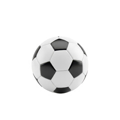 Fototapeta premium Classic soccer ball