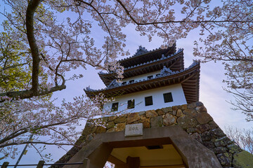 桜咲く兵庫県洲本市の洲本城跡(天守閣)を見る
