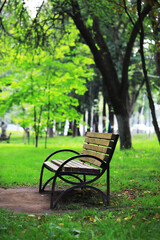 Obraz premium Tranquil Park Scene with Bench and Lush Greenery