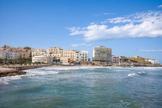 Clustered pastel buildings line the rocky shoreline of Vieste, Italy, facing gentle Adriatic waves under a bright blue sky. The coastal scene features palm trees, layered architecture, and soft