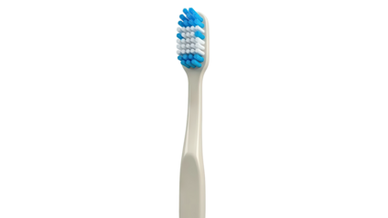 Close-up of a toothbrush head with blue and white bristles
