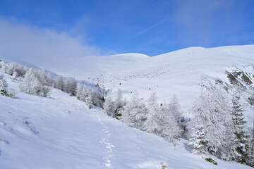 Fototapeta premium Winter mountain panorama landscape with footprints in fresh snow. Snowy mountain valley scene showing a winter hike trail with frosted trees under blue sky.