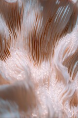 Obraz premium Macro Mushroom Gills Pattern Featuring Organic Texture and Delicate Symmetry in Soft Beige Tones for Minimalist Nature Branding or Abstract Background Design