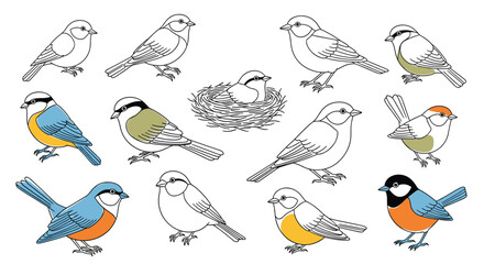 Detailed illustration set of various small garden birds in different poses including a bird sitting on a nest with small eggs. © Talukdar
