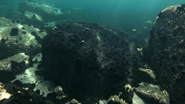 Dark Submerged Rock Formations Covered in Algae Underneath Sunlight Rays in Deep Ocean Waters
